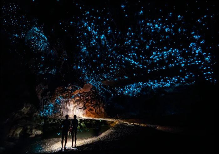 Two figures marvel at the glowing lights produced by glowworms in a cave