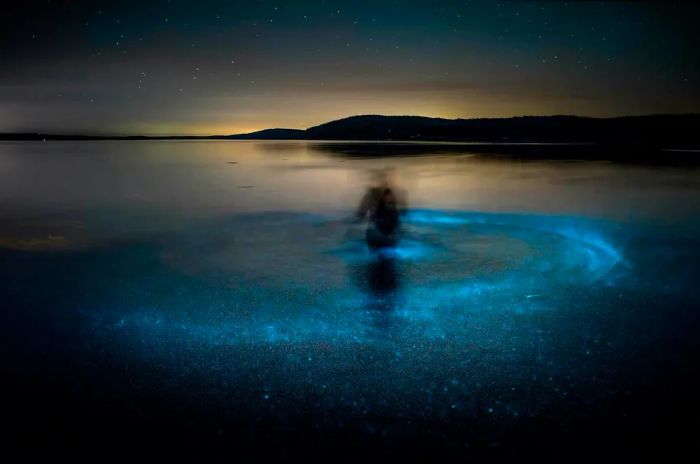 A hazy silhouette swims in the ocean, surrounded by swirling blue luminescence.