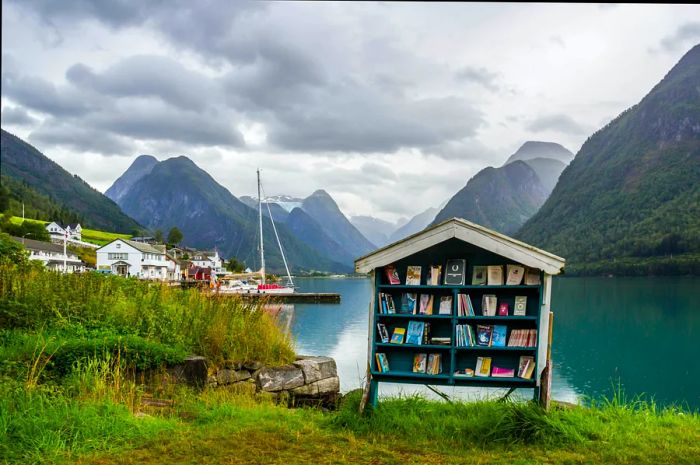 A shelf filled with books rests on the edge of a fjord surrounded by mountains.