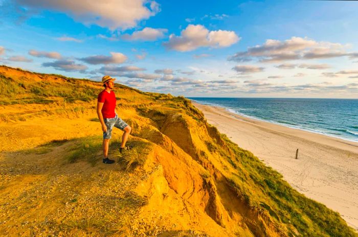 A man stands atop a sandy dune, gazing out at the beach and the sea on a sunny day.