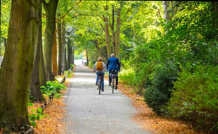 Tiergarten city park in Berlin during autumn, showcasing a mature couple cycling together.