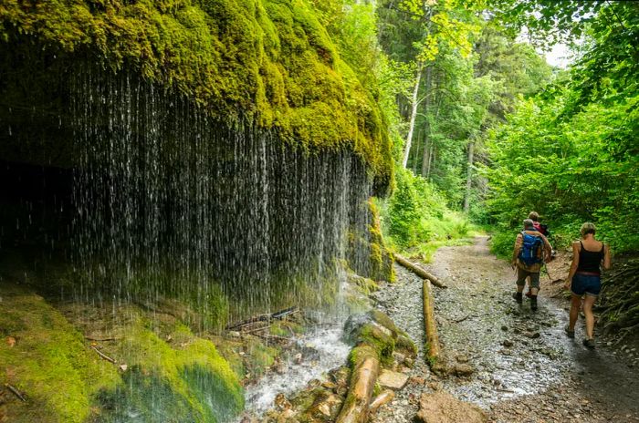 Three hikers navigate a forested trail winding through a gorge, with cascading water to their left.