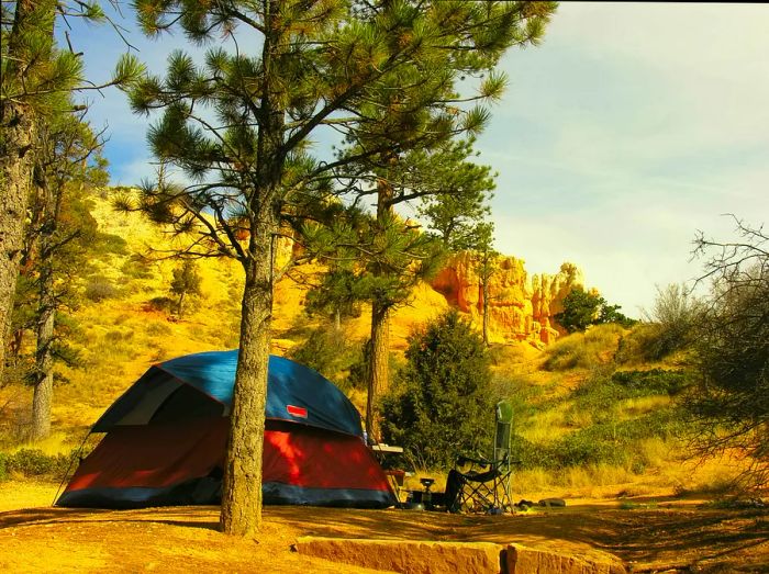 A campground tent basking in the late afternoon light at Bryce Canyon National Park.