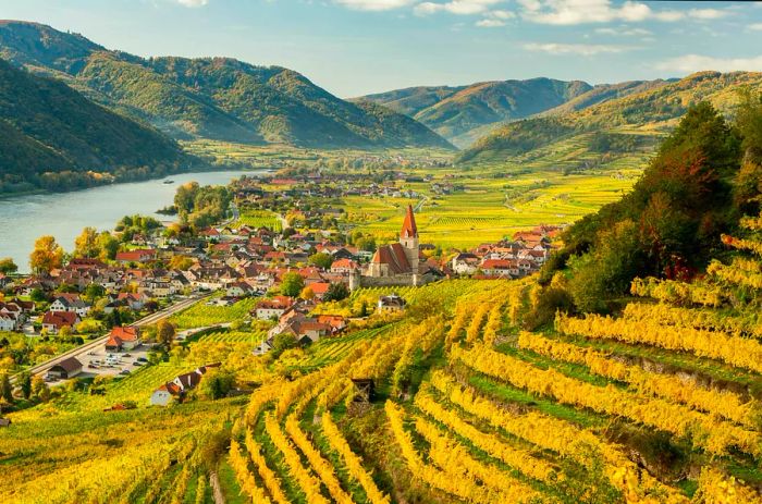 A quaint riverside village adorned with autumn-hued leaves surrounding the vineyards.