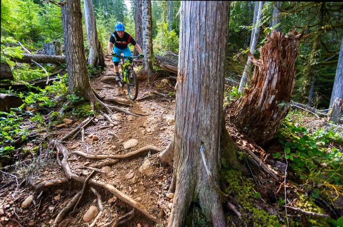 A male mountain biker navigates a rugged trail among trees in a forest