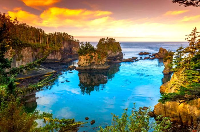 A stunning rocky shoreline fringed by thick forests