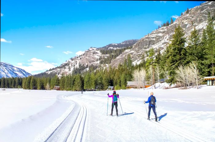 Two cross-country skiers traverse a snowy trail