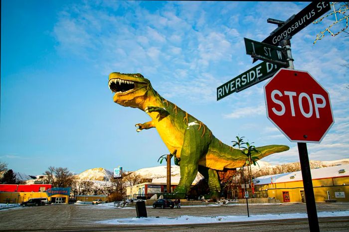 A giant Tyrannosaurus rex statue at an intersection in downtown Drumheller, Alberta, Canada