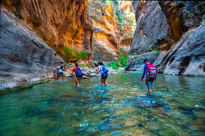 Hikers navigate through a river in a narrow slot canyon.