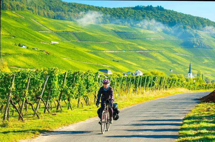 A female cyclist rides along a picturesque vineyard path lined with grapevines, with steep hillside vineyards in the background near Piesport, Germany.