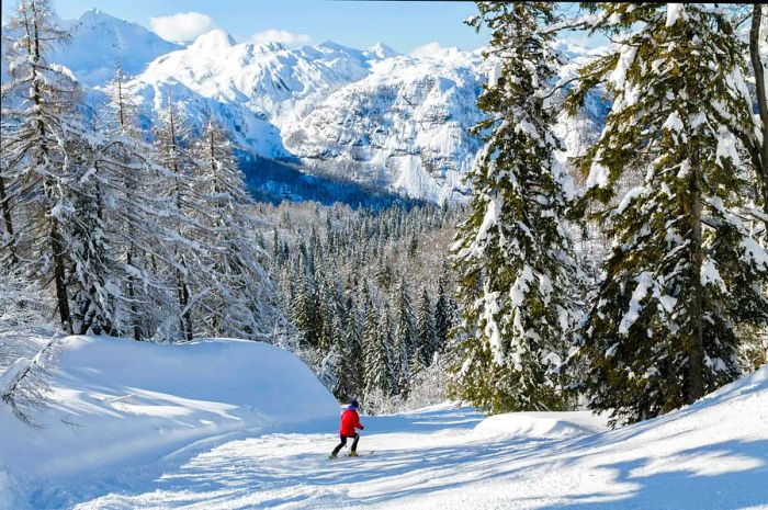 A skier glides down a slope in the Julian Alps, Slovenia