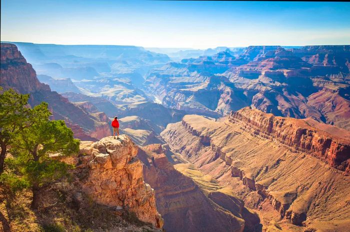 A lone figure stands on a rock, gazing out over a vast canyon bathed in sunlight