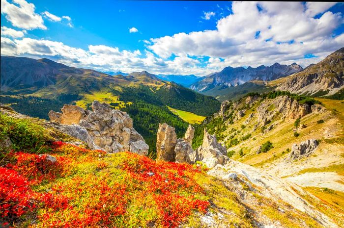 A mountainous landscape within a national park