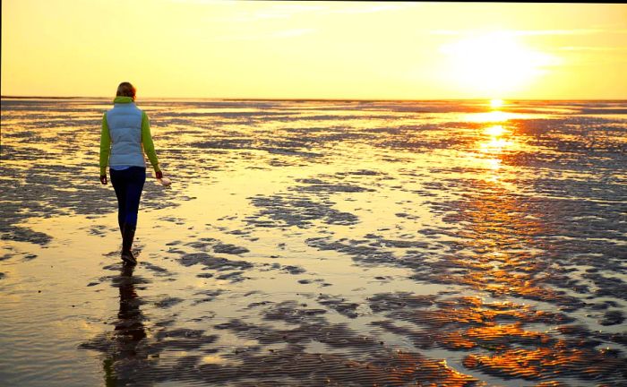 A young woman traverses the mudflats of the Wadden Sea at low tide, The Netherlands