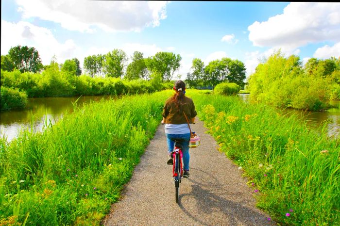 A young woman cycling during summer in the Netherlands, surrounded by water on both sides of the path