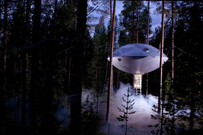 A silver, dish-shaped unit hangs between trees in the woods, with a ladder reaching down to the ground.