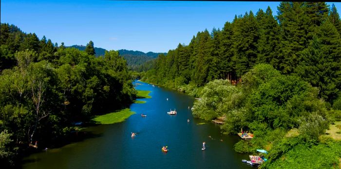 Kayaks, canoes, and other watercraft dot the Russian River, near Guerneville, Sonoma County, California, USA