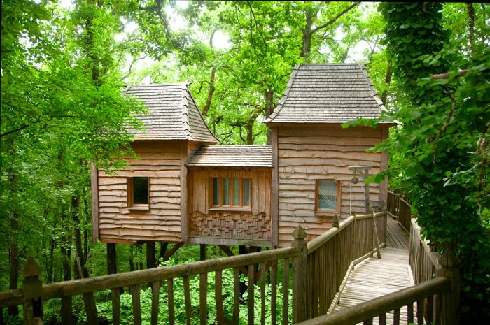 A wooden treehouse with a walkway nestled in thick woodland