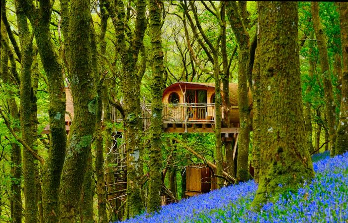 A wooden treehouse nestled in a woodland blanketed with bluebells.