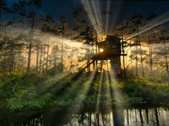 Sunlight filters through the trees, casting a silhouette of a stilted cabin by the edge of a lake.