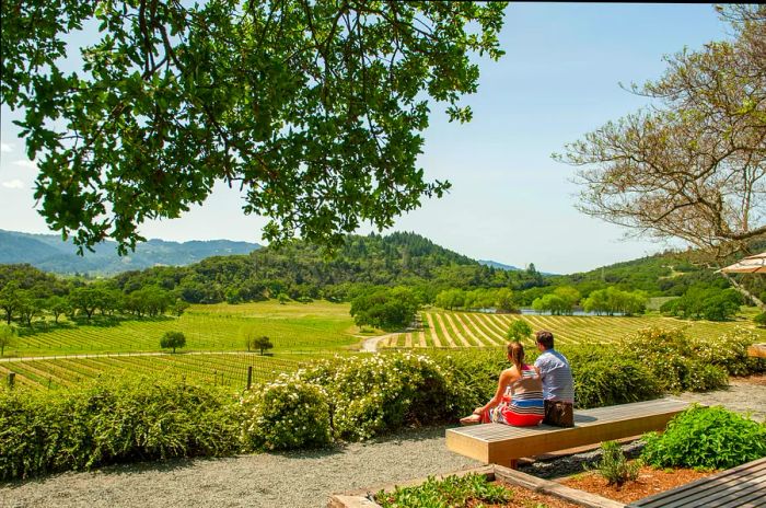 A couple relaxes on a bench at a winery, gazing over the sunlit vineyards that cascade down the hillside.