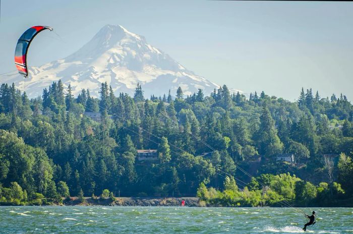 A kiteboarder glides across the Columbia River, with lush green trees and Mt Hood visible in the background, Oregon, USA