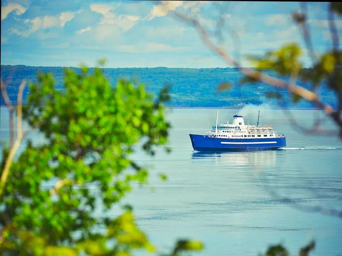 A white and blue ferry makes its way across a vast body of water toward Nova Scotia, Canada, framed by the branches of a nearby tree.