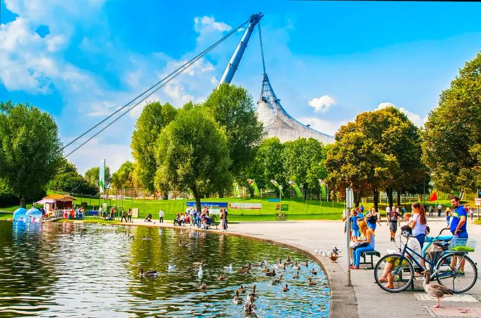 Watching ducks in a pond at Munich's Olympic Park