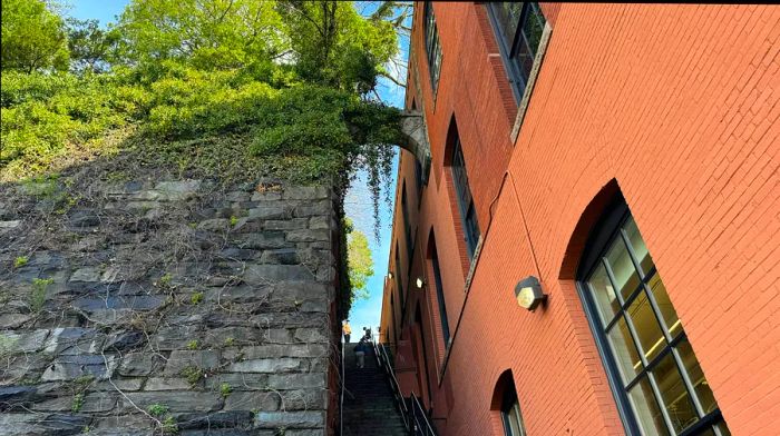 A narrow staircase in Georgetown, DC – featured in