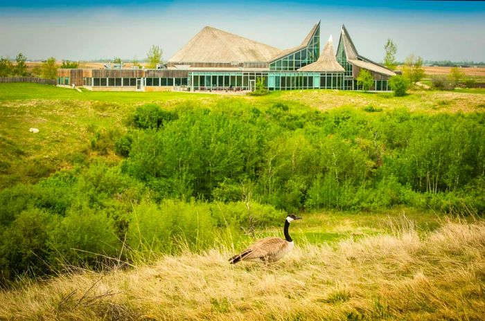 A spacious building nestled in a picturesque landscape with a goose wandering in the foreground