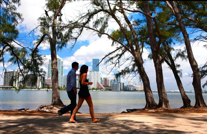 A couple enjoys a stroll beneath the pines in Key Biscayne, Miami, Florida, USA