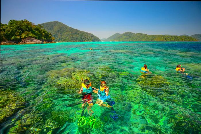 People snorkel in front of a vibrant coral landscape at Surin National Park in Thailand.