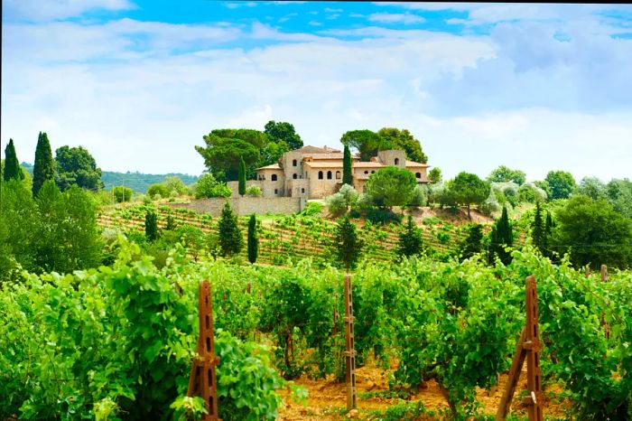 A sprawling villa nestled among trees and vineyards in Chianti, Tuscany.