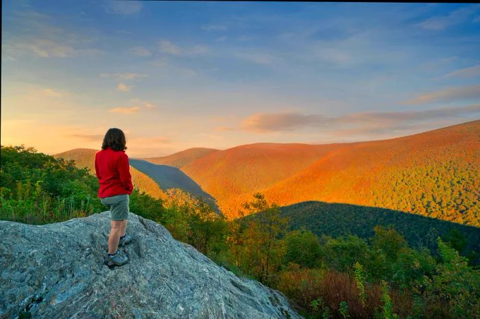 A hiker stands on a large rock, gazing out at a mountainous landscape adorned with vibrant fall foliage.