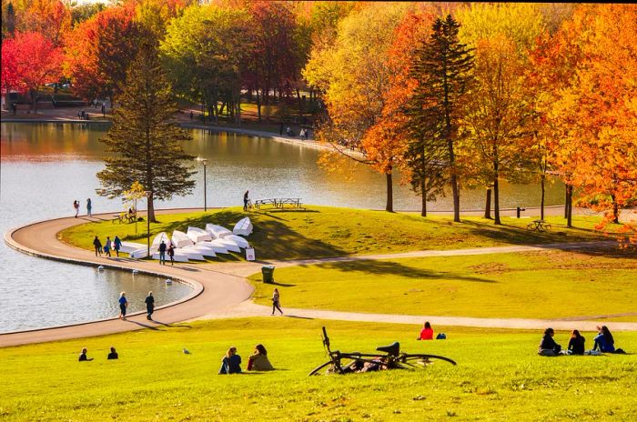 Small groups of people gather or play in a park during autumn.