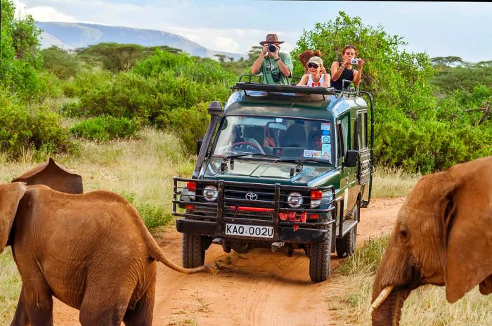 Tourists in a safari jeep encountering elephants in the Masai Mara.