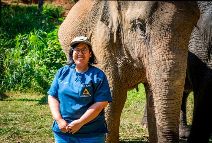 A veterinarian stands beside an elephant, smiling at the camera.