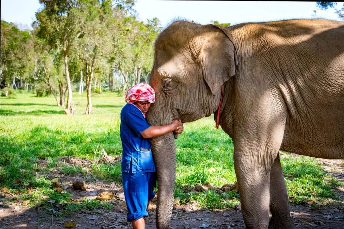 A mahout lovingly embraces the trunk of his elephant, showcasing a tender bond between them.