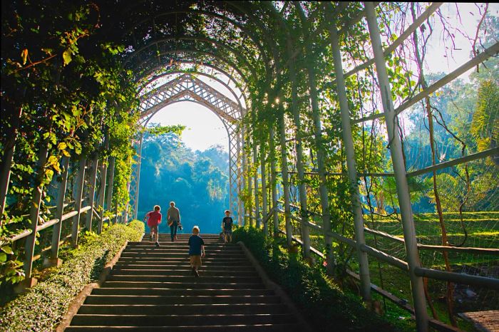 Four young children ascend a staircase leading into a lush jungle setting