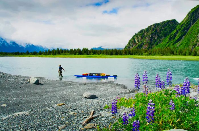 A man transports a kayak and gear up the feeder river to Bear Lake and Bear Glacier in Alaska.