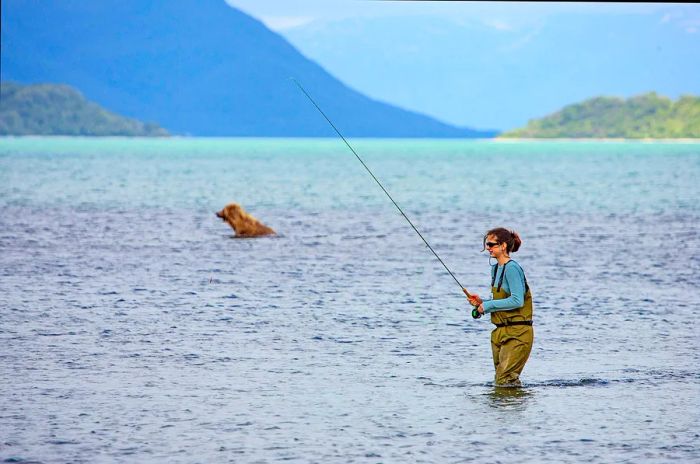 A woman casts her line for salmon while a bear swims in the background.