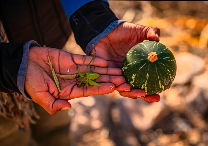 A large gourd alongside freshly harvested beans from the garden