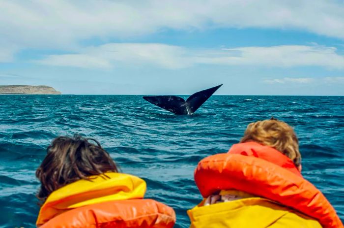 People on a boat, enjoying a whale-watching experience in Alaska