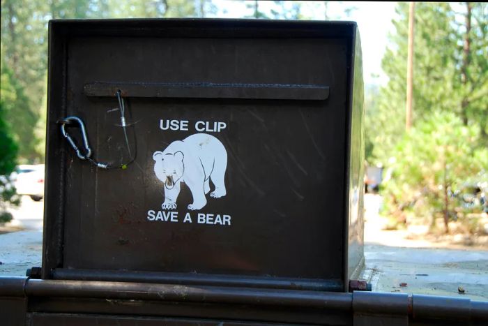 bear-proof trash container at Yosemite National Park