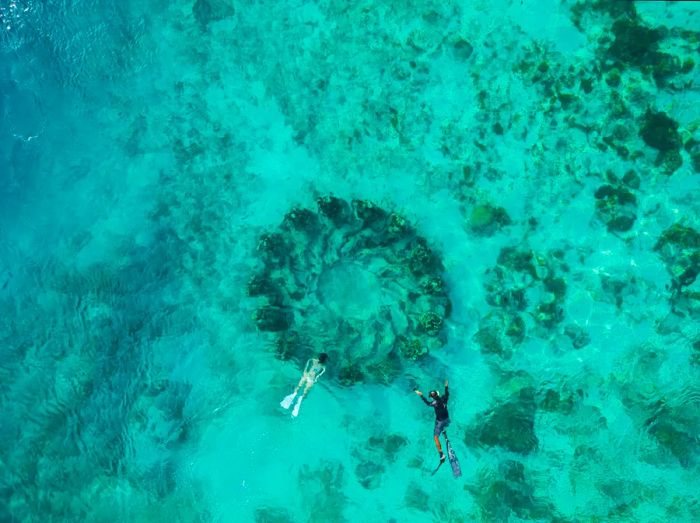 A couple enjoys snorkeling in crystal-clear turquoise waters above a mesmerizing underwater sculpture depicting figures in a circle.