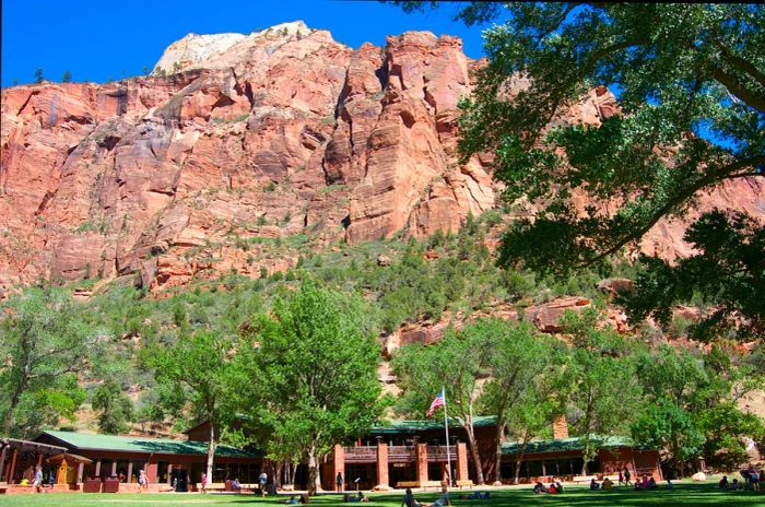 Low-angle view of visitors enjoying the lawn at Zion Lodge in Zion National Park, Utah, USA