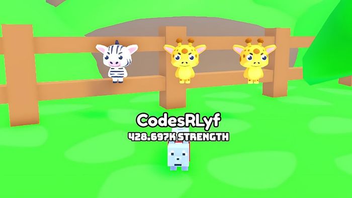 Những lỗi thường gặp khi sử dụng mã Animal Race