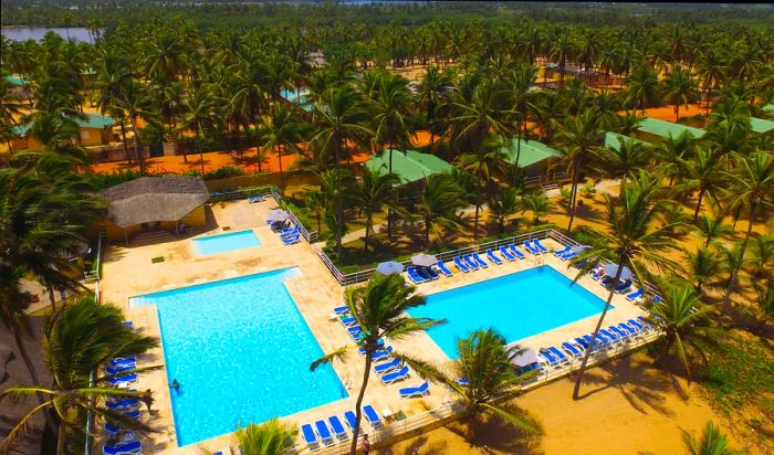 Two swimming pools framed by loungers and palm trees