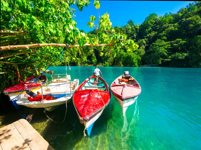 Three colorful boats secured to a tree in Jamaica's Port Antonio gently bob in a serene blue lagoon.