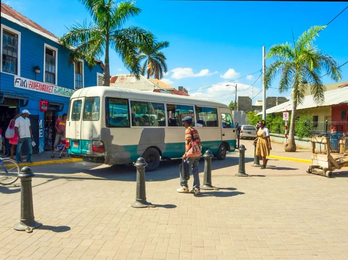 A bus resting beneath swaying palm trees